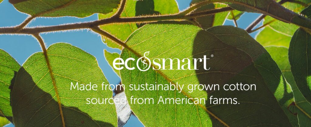 Hanes EcoSmart Sweatshirt Review